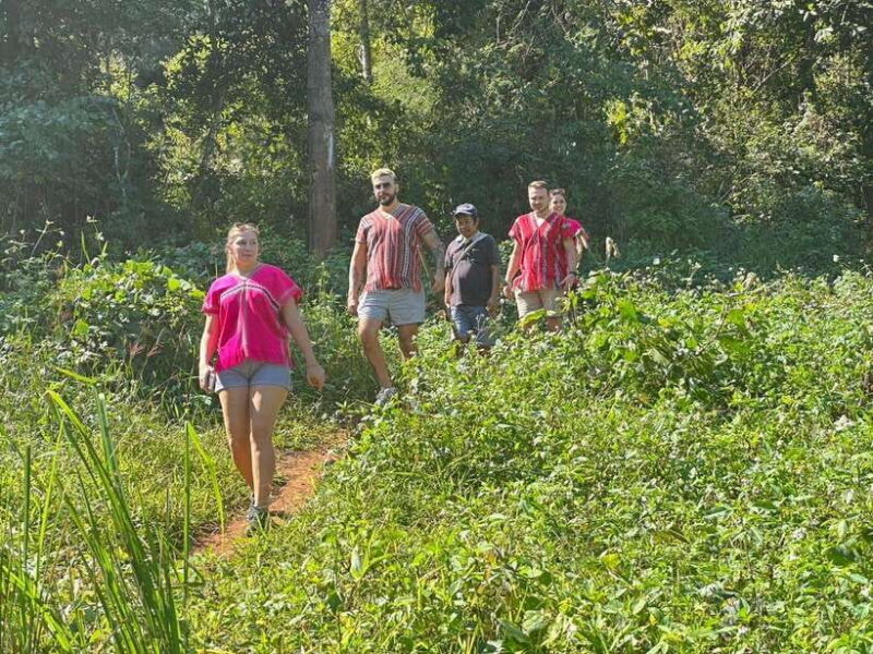 Chiang Mai Untouched Elephant: Nature Walk & Waterfall Trek - The Sum Up