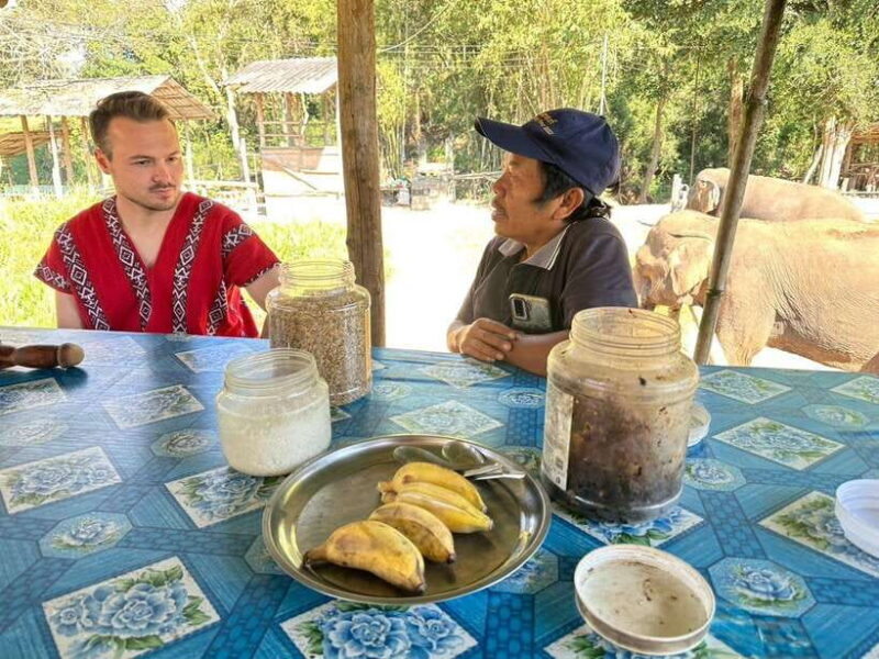 Chiang Mai Untouched Elephant: Nature Walk & Waterfall Trek - FAQ
