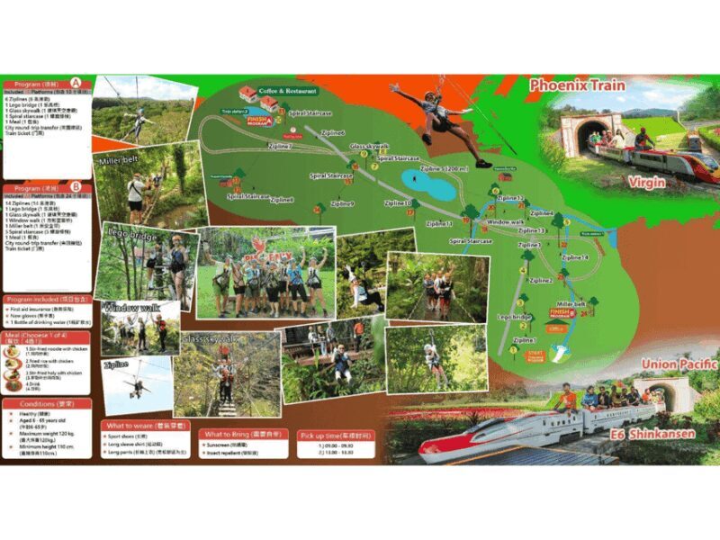 Chiang Mai: Zipline adventure with lunch & city hotel pickup - Key Points