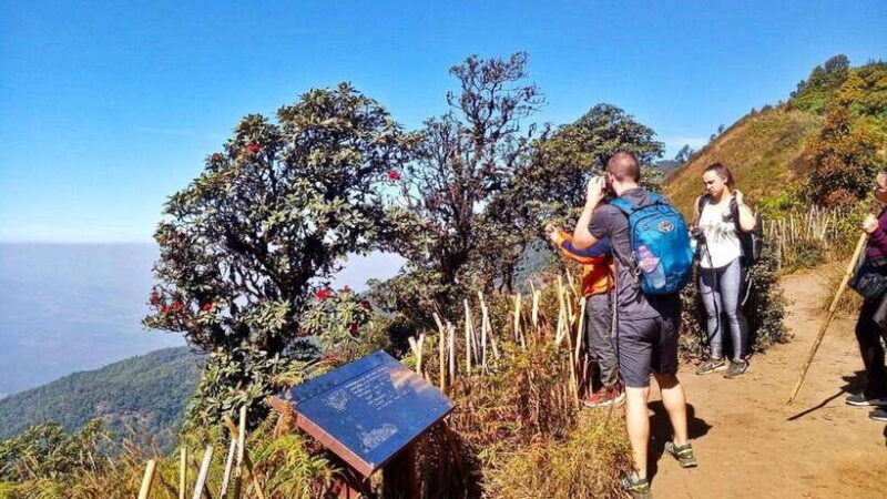 Chiang Mai:Doi Inthanon National Park & Hike at Kew Mae Pan - Exploring Doi Inthanon: The Highest Point in Thailand