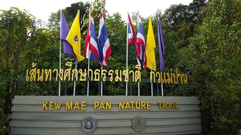 Chiang Mai:Doi Inthanon National Park & Hike at Kew Mae Pan - Practical Details: Transportation, Timing, and Overall Experience