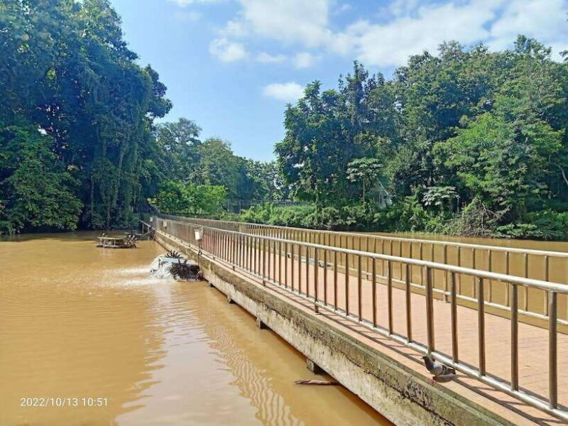 Chiang Mai:Wat Phra That Doi Suthep & Wat Umong Evening Tour - Frequently Asked Questions