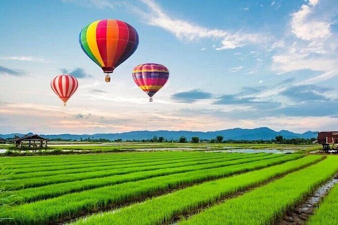 Chiang Rai Hot Air Balloon Flight  Guided Aerial Tour - Key Points