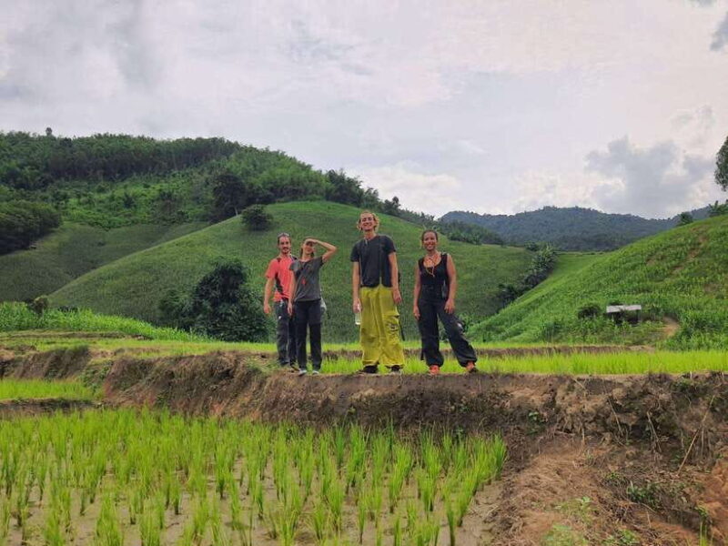 Chiang Rai Jungle Trek & Bamboo Tube Cooking Adventure - Who Is This Tour Best For?