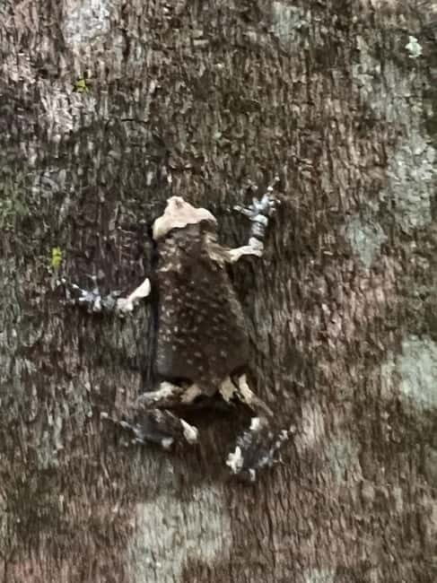 Chiang Rai: The Adventure of Trekking & Bamboo Cooking - The Sum Up: Who is this tour perfect for?