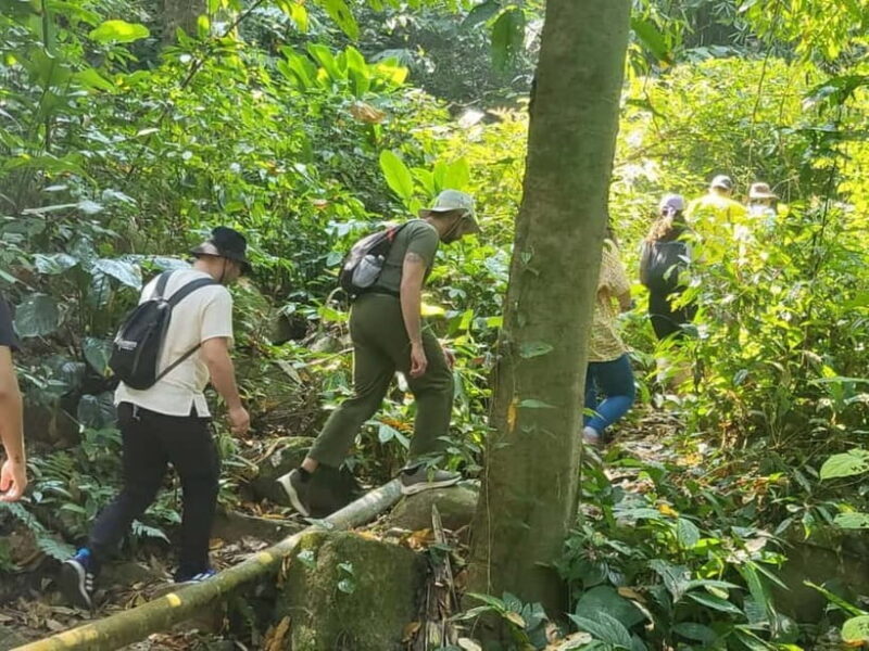 Chiang Rai: Trekking, Bamboo Cooking, and Hot Springs Tour - Key Points