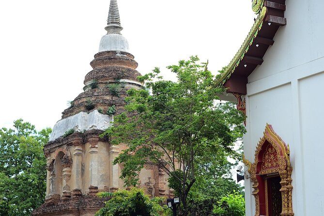 Chiangmai city tours - Who Will Love This Tour?