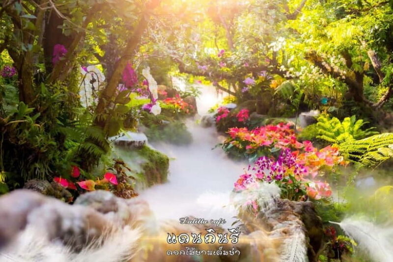 Chiangmai to Chiangrai: 3 Temples, Hot Springs& Lalitta Cafe - Key Points