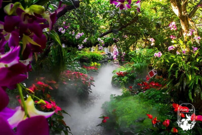 Chiangmai to Chiangrai: 3 Temples, Hot Springs& Lalitta Cafe - Visiting the Karen Longneck Village (Optional)