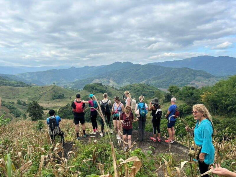 Chiangrai: Group Trekking with Bamboo Cooking - Key Points