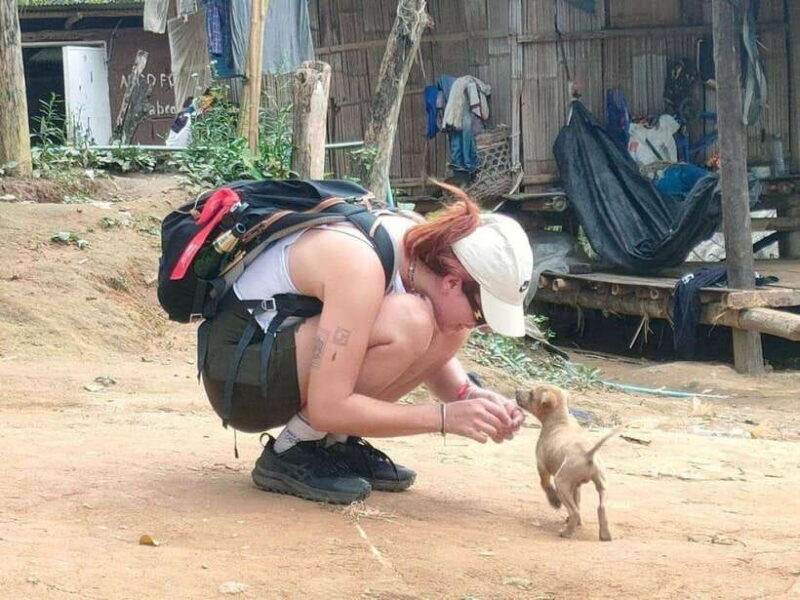 Chiangrai: Group Trekking with Bamboo Cooking - FAQ