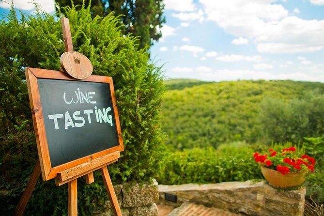 Chianti and Castle Small Group Tour from San Gimignano - A Deep Dive into the Experience