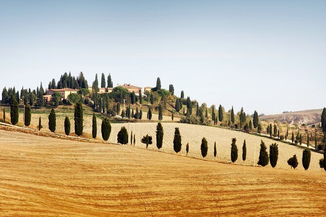 Chianti and Castle Small Group Tour from Siena with Wine Tasting - A Deep Dive into the Experience