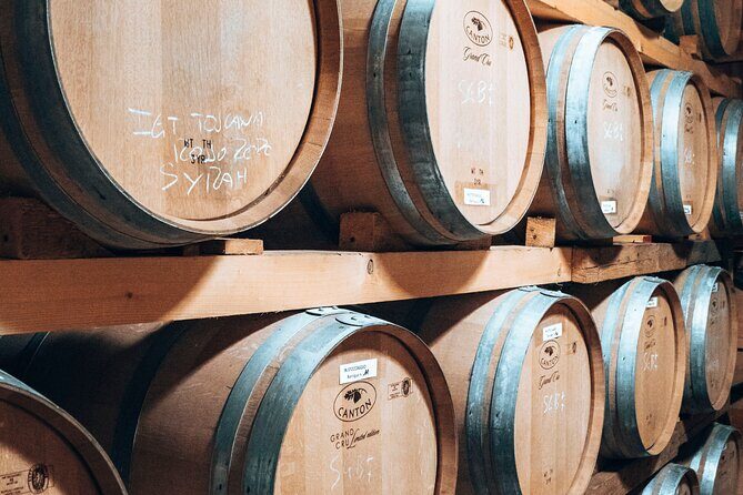 Chianti and Castle Small Group Tour from Siena with Wine Tasting - Who Will Love This Tour?