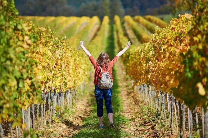 Chianti and Supertuscan Private tour with lunch from Livorno - A Practical Guide to the Chianti and Supertuscan Private Tour