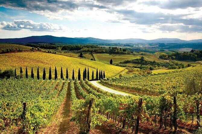 Chianti Classic Vintage Fiat 500 Tour - Discover the Charm of Tuscany in a Vintage Fiat 500