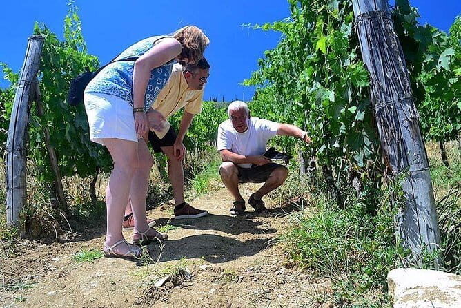 Chianti Classico and Super Tuscan 3 Winery Tour - A Deep Dive into the Chianti Classico and Super Tuscan 3 Winery Tour