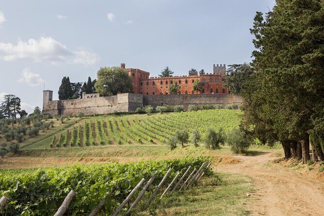Chianti Classico E-Bike Tour - A Ride Through the Heart of Chianti on an E-Bike