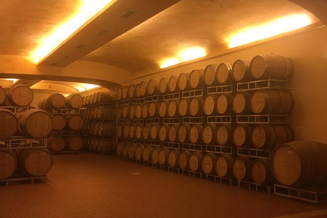 Chianti Classico E-Bike Tour - Who Will Love This Experience?