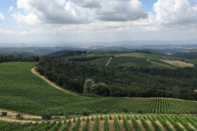 Chianti Classico E-Bike Tour - Final Thoughts