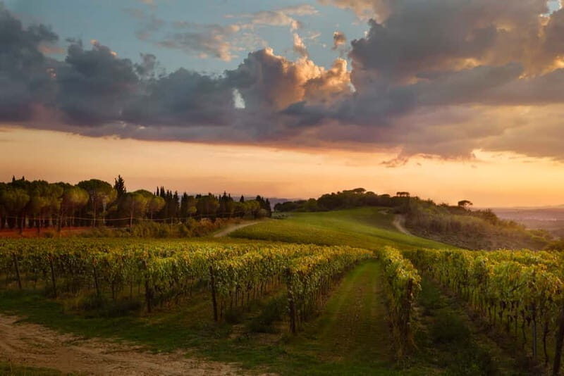 Chianti Colli Fiorentini Winery Tour 18km from Florence - Key Points