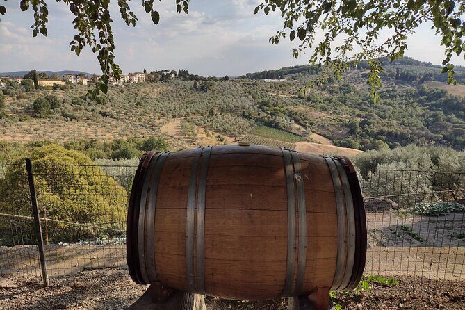 Chianti: eno-excursion through the vineyards - Chianti: Eno-excursion through the Vineyards — A True Taste of Tuscany