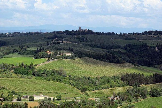Chianti from Florence:PRIVATE Wine, Olive Oil Tasting in the Tuscan countryside - Who Will Love This Tour?