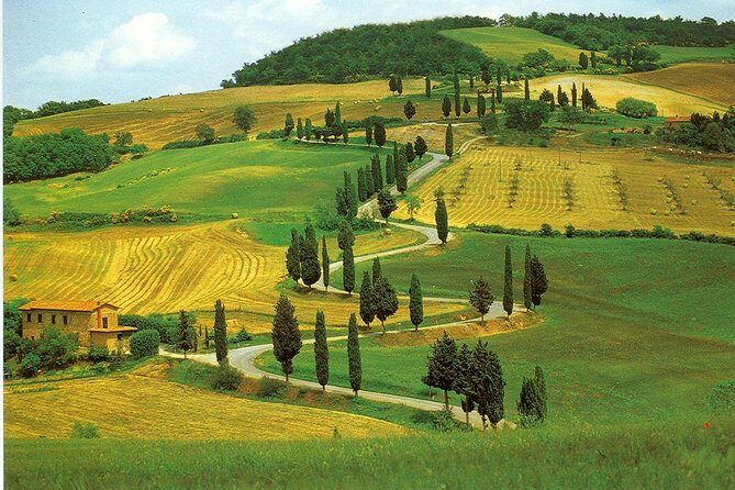 Chianti from Florence:PRIVATE Wine, Olive Oil Tasting in the Tuscan countryside - Final Thoughts