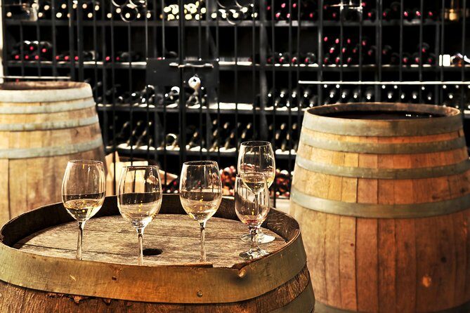 Chianti Half-Day Wine Tour in the Tuscan Hills Small Group from Lucca - An Overview of the Tour Experience