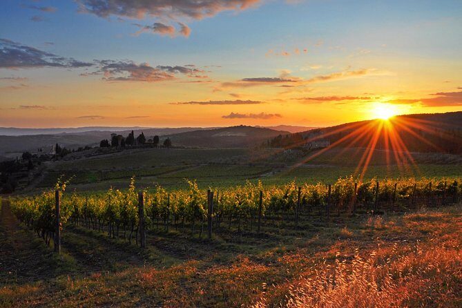 Chianti Half-day Wine Tour in the Tuscan's Hills from Pisa - Discover the Heart of Tuscany with a Half-Day Chianti Wine Tour from Pisa