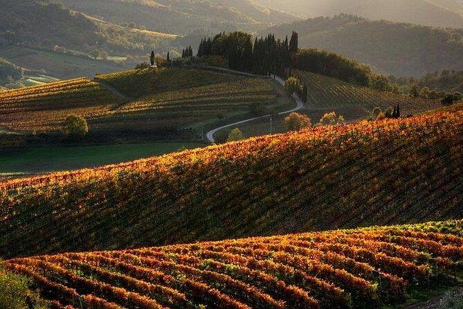 Chianti Half-day Wine Tour in the Tuscan's Hills from Pisa - A Deep Dive into the Chianti Half-Day Wine Tour