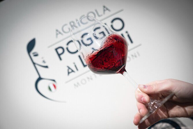 Chianti: Lunch with Wine Tasting at Poggio ai Laghi Winery - Final Thoughts
