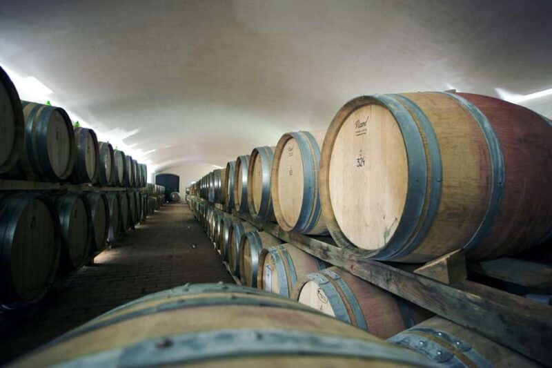 Chianti: Private Winery Tour and Wine Tasting - An In-Depth Look at the Chianti Private Winery Tour