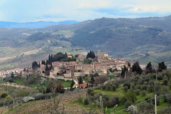 Chianti Region and San Gimignano including wine tasting and light lunch - Final Thoughts