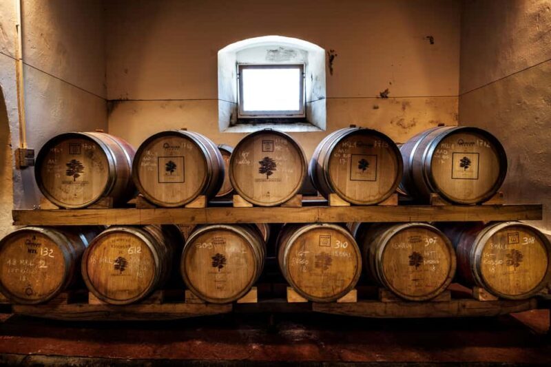 Chianti Rufina: Discover the tradition of extra virgin olive oil and organic wines - The Sum Up