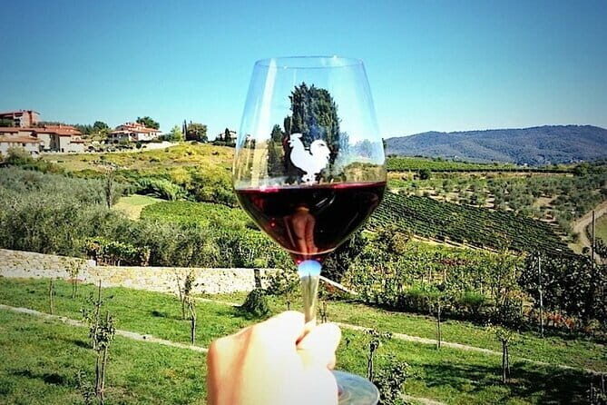 Chianti & Supertuscan Private Tour 2 Wineries with light lunch - A Taste of Tuscany: Private Tour of Two Wineries with Light Lunch from Lucca