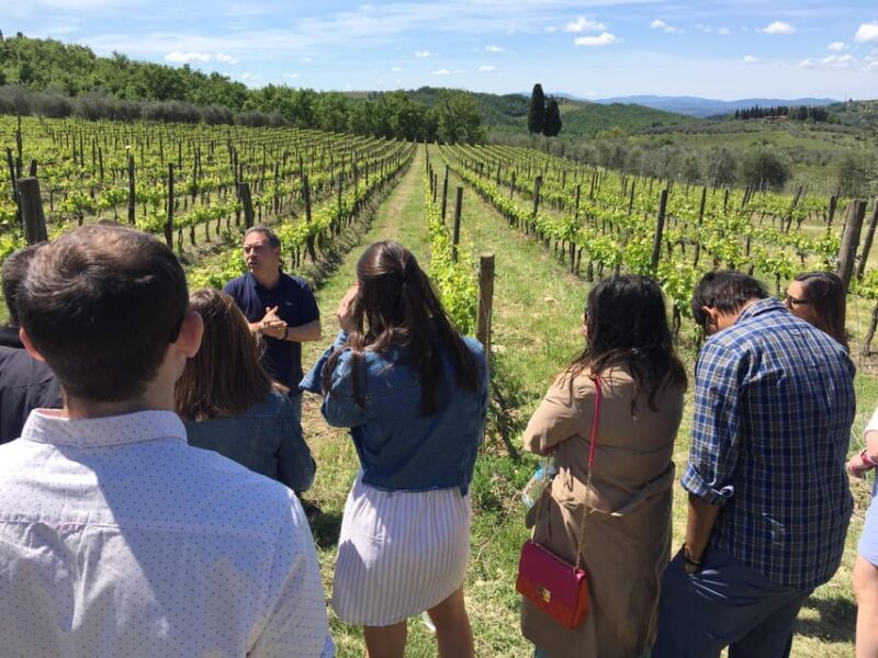 Chianti: Vineyard to Bottle Winery Visit with Tastings - The Sum Up