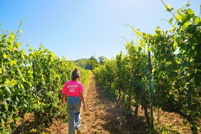 Chianti Vineyards Escape from Florence with Two Wine Tastings - What’s Included and What’s Not