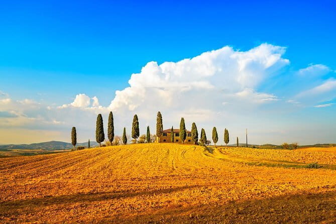Chianti Vineyards Escape from Florence with Two Wine Tastings - Analyzing the Value