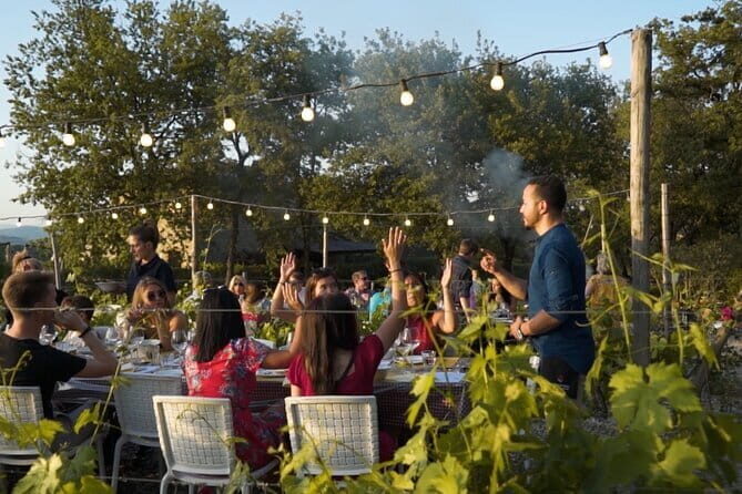 Chianti vineyards: Small-Group tour with wine tasting & Dinner - A Deep Dive into the Tour