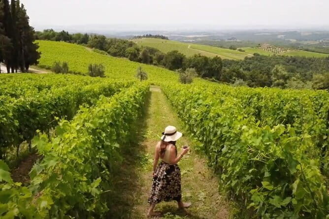 Chianti vineyards: Small-Group tour with wine tasting & Dinner - Frequently Asked Questions