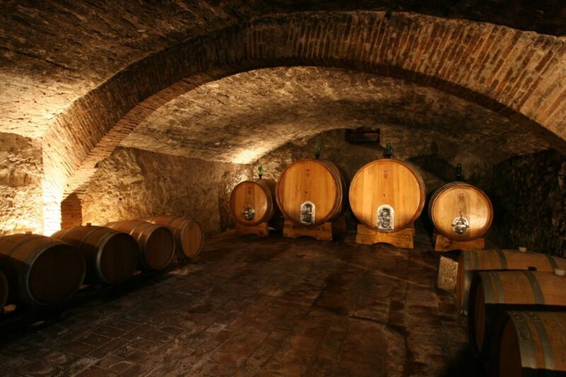 Chianti: Wine and Olive Oil Tasting with Cellar Tour - Experience Overview