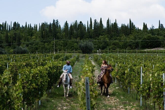 Chianti Wine Tastings at Sunset Day Trip from Florence - What We Love and What to Consider