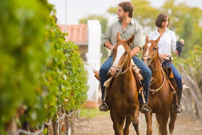 Chianti Wine Tastings at Sunset Day Trip from Florence - Formal Details and Practical Considerations