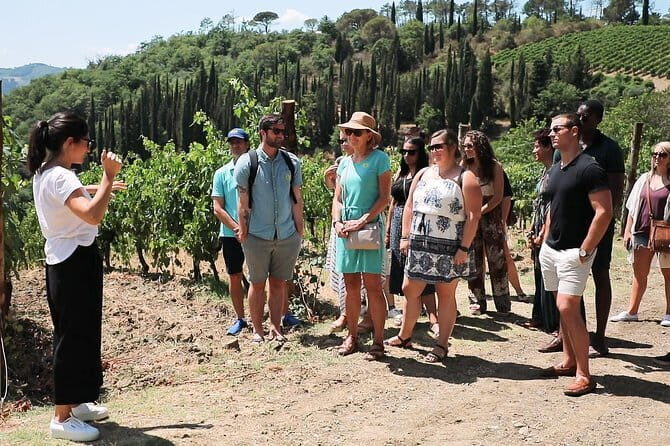 Chianti Wine Tour from Florence - An In-Depth Look at What You Can Expect