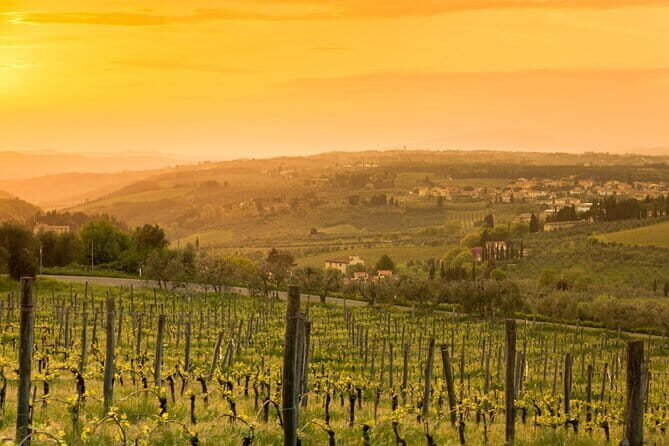 Chianti Wine Tour from Florence to San Gimignano with 2 Wineries - Final Thoughts