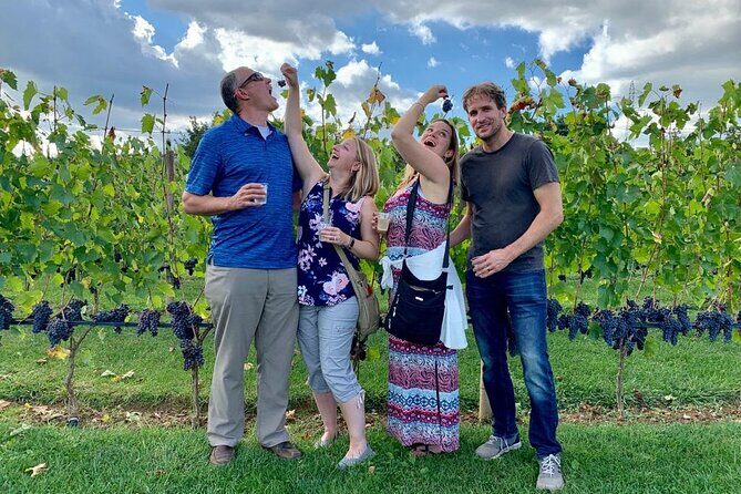 Chianti Wine Tour in Tuscany from Florence - Who Will Love This Tour?