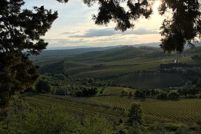 Chianti Wine Tour - Private Wine experience in Tuscany Countryside - A Deep Dive into the Chianti Experience