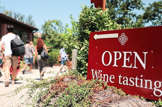 Chianti Wine Tour: Two Wine Tastings, Vineyards and Cellar Visit - Discover the Charm of the Chianti Wine Tour: Two Vineyards, Tastings, and Cellar Visits