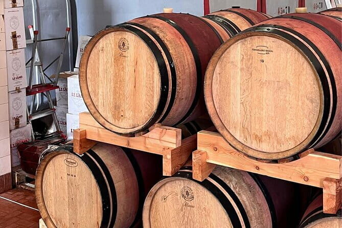 Chianti Winery + Brolio Castle Private Tour - Experience the Charm of Tuscany with the Chianti Winery + Brolio Castle Private Tour